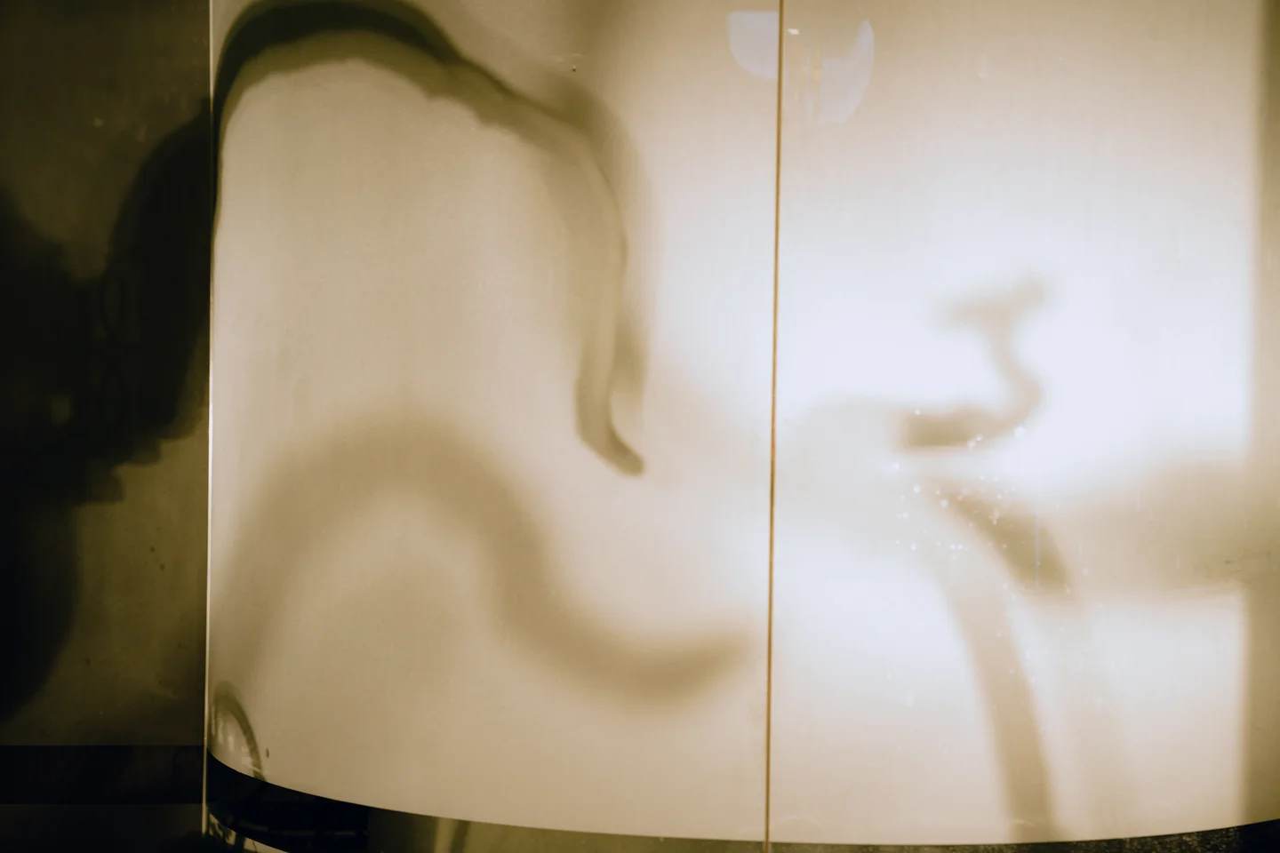 秋和柯基 - 触手 [155P,1V-3.47GB]  tg@simisebaisi 【丝足阁】12.webp